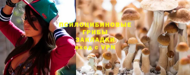 ОМГ ОМГ   хочу наркоту  Ессентуки  Псилоцибиновые грибы Magic Shrooms 